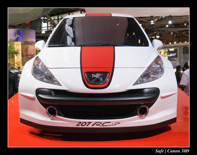 2006 - 10 - Mondial auto Paris 266